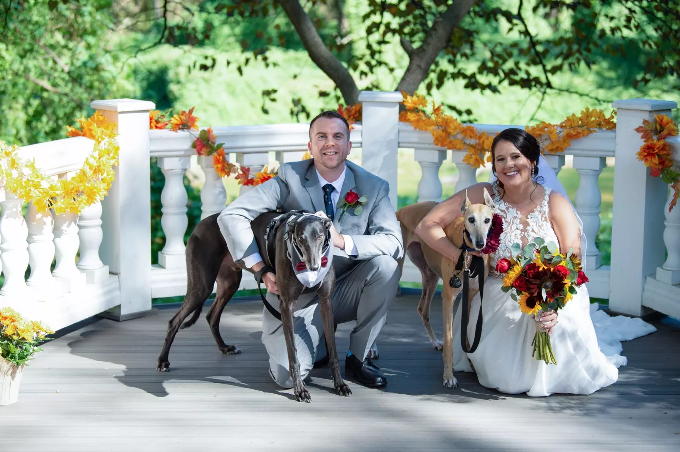 Pet Wedding Chaperone Service Westminster MD