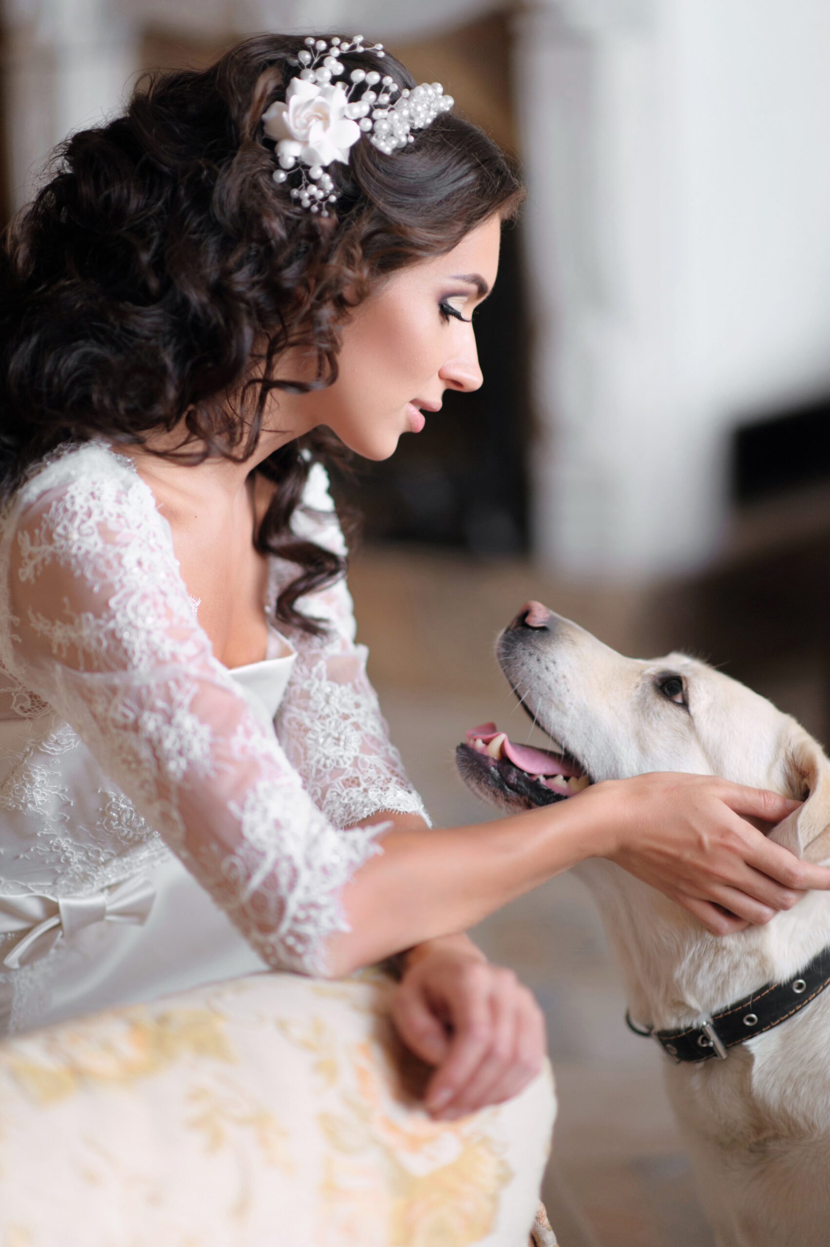 Wedding day pet attendant