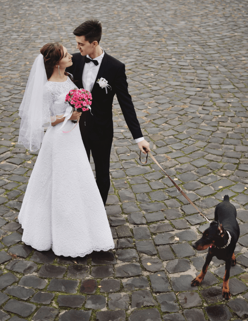 Bride and groom with dog at wedding